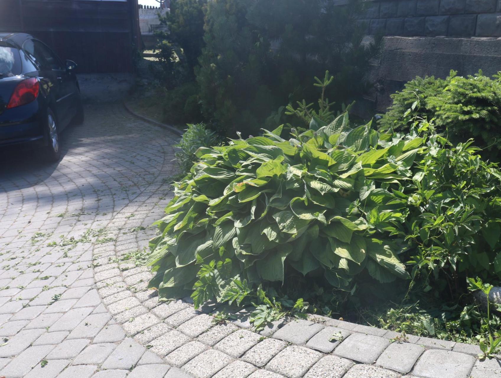 Smyrecek-Centrum Bukowiny Bukowina Tatrzańska Exteriör bild