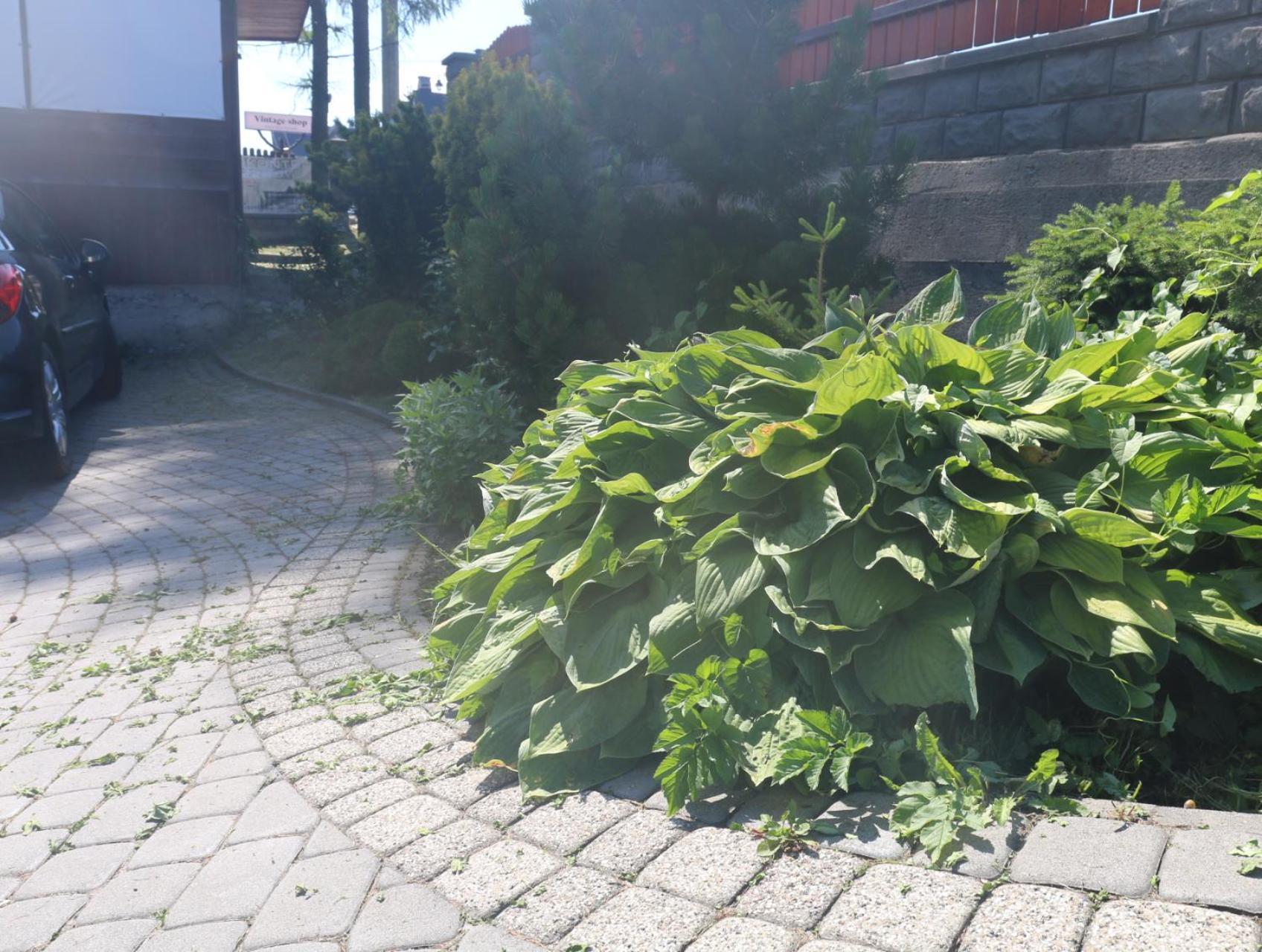 Smyrecek-Centrum Bukowiny Bukowina Tatrzańska Exteriör bild