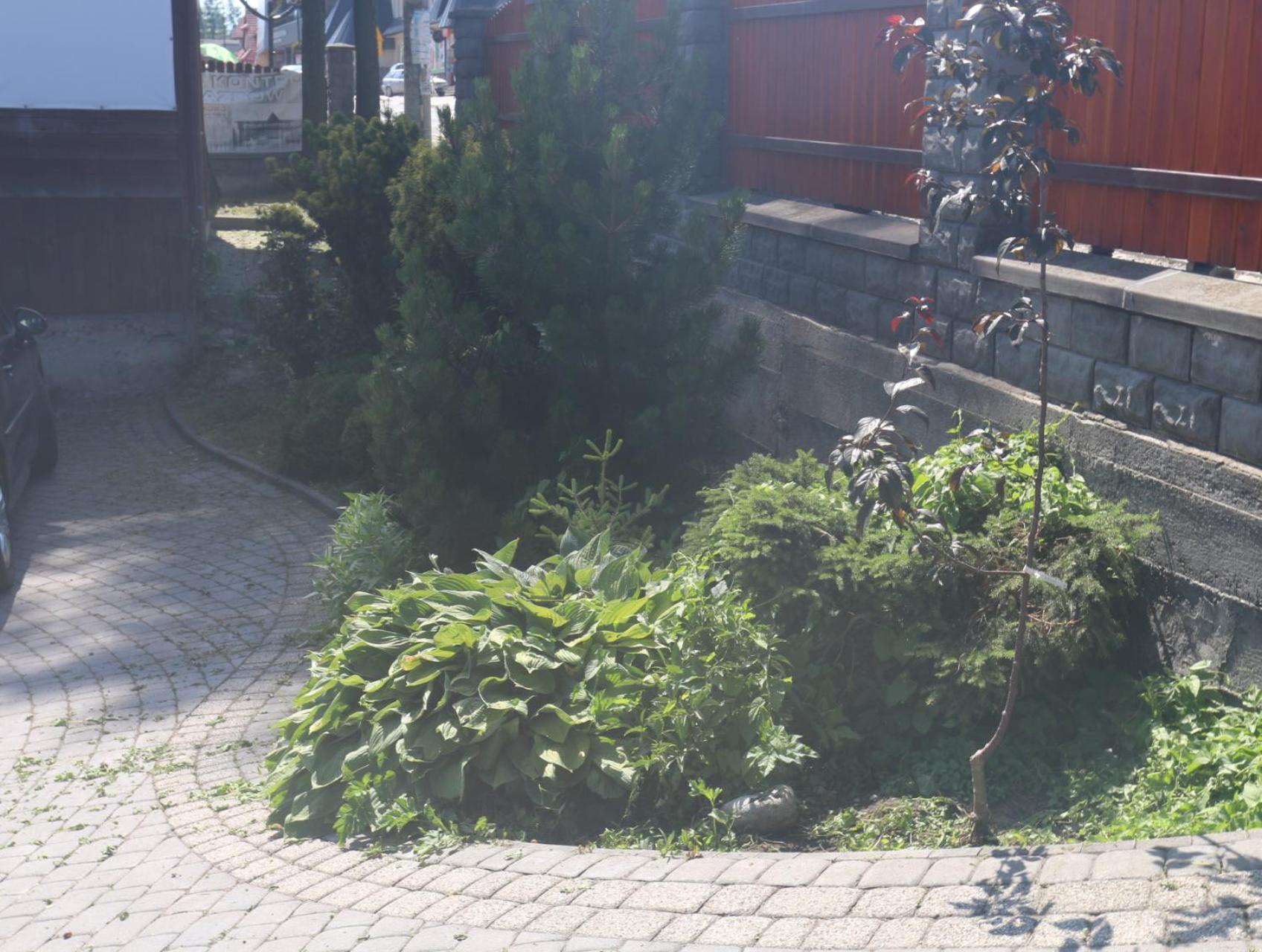 Smyrecek-Centrum Bukowiny Bukowina Tatrzańska Exteriör bild