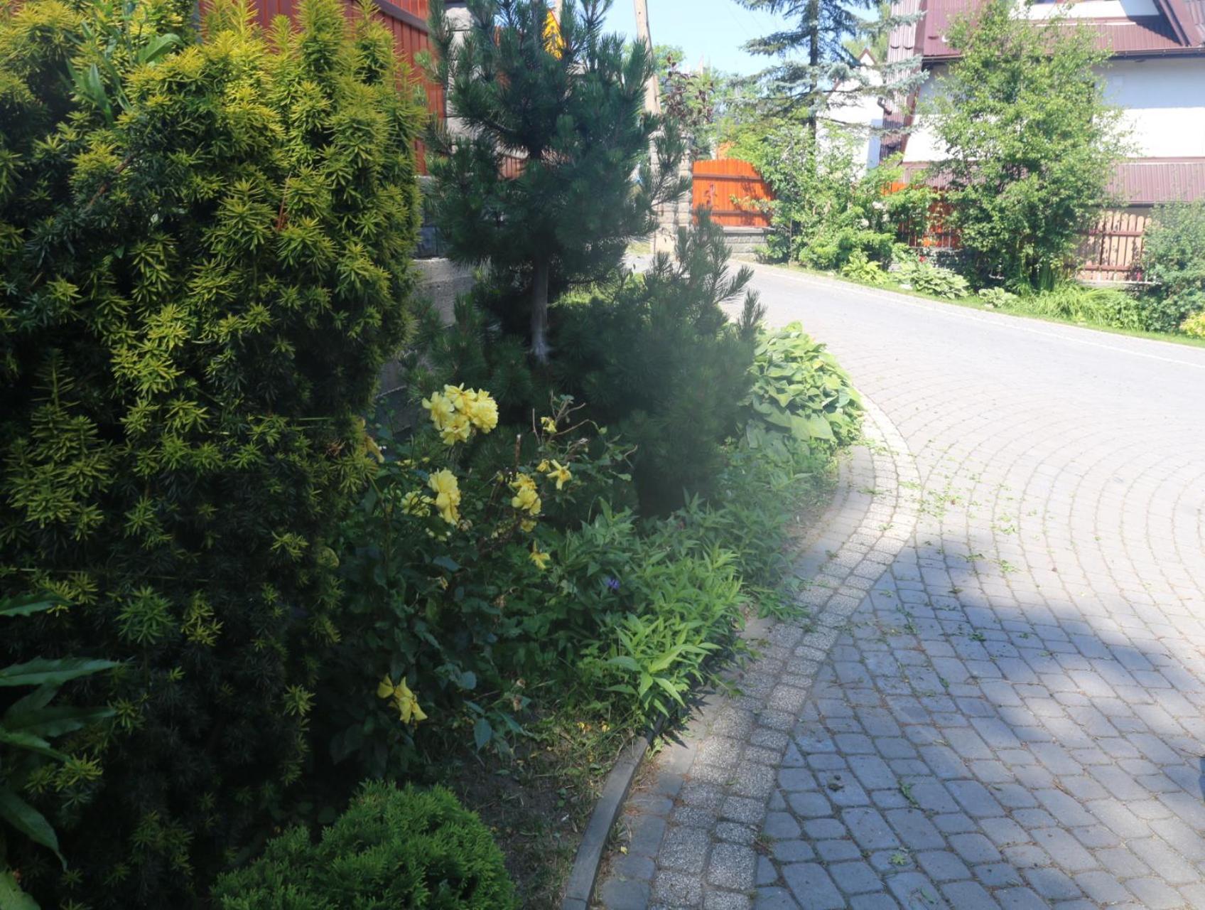 Smyrecek-Centrum Bukowiny Bukowina Tatrzańska Exteriör bild