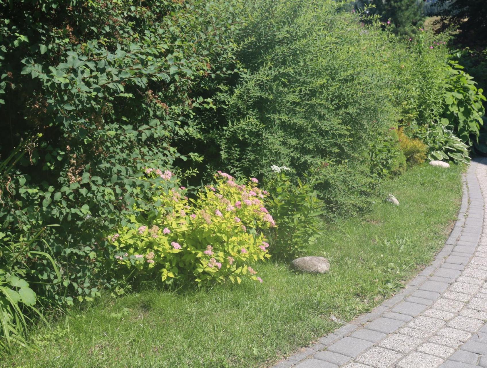 Smyrecek-Centrum Bukowiny Bukowina Tatrzańska Exteriör bild